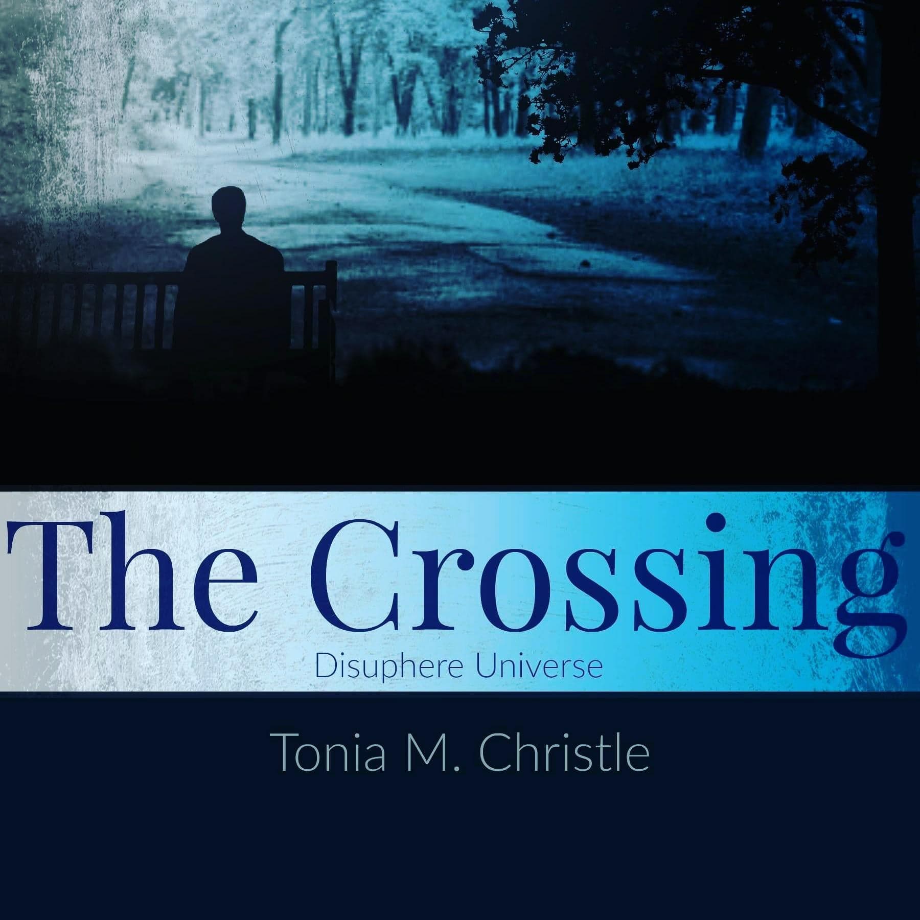 The Crossing Book Cover. 
